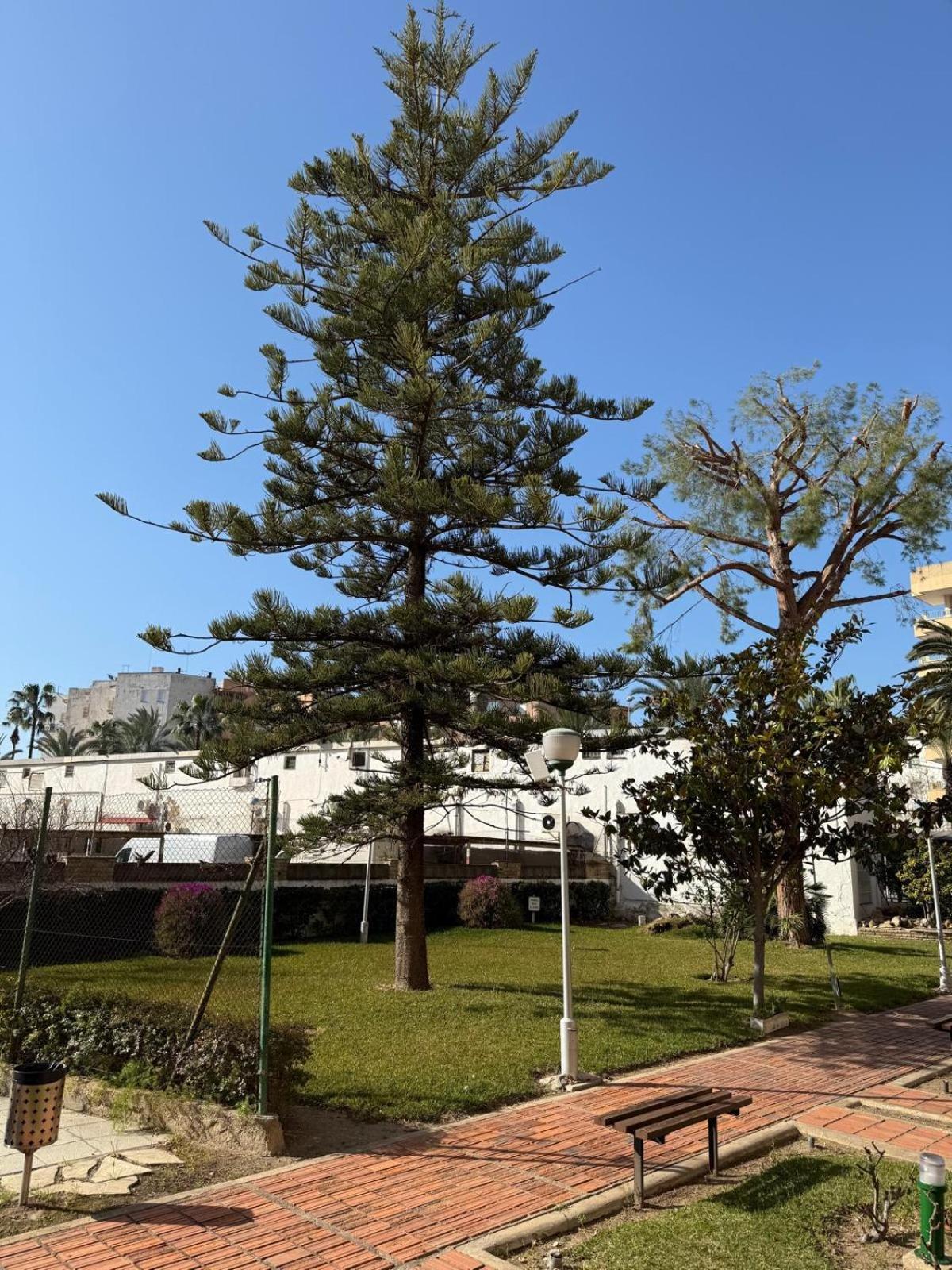 Apartamentos Hesperia Palmyra Salou Exterior foto